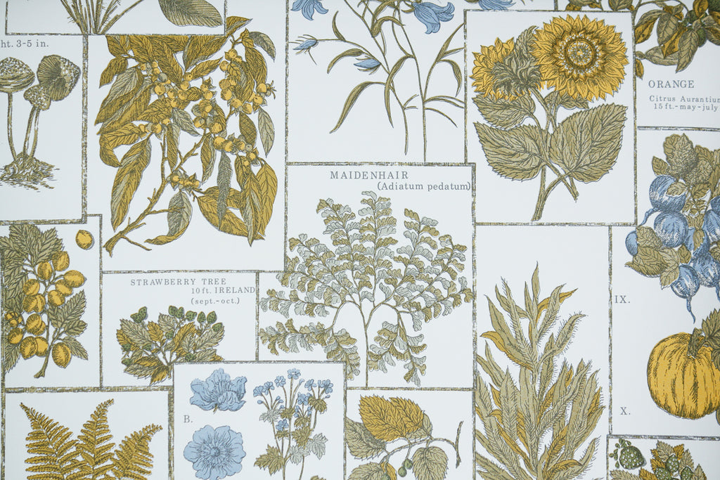 1970s Kitchen Vintage Wallpaper