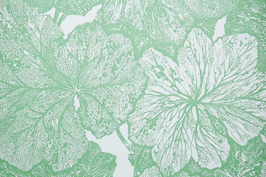 1970s Botanical Vintage Wallpaper