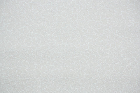 1950s Fine Graphics Vintage Wallpaper