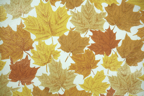 1970s Botanical Vintage Wallpaper