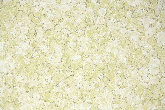 1960s Fine Graphics Vintage Wallpaper