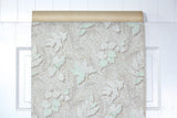 1950s Botanical Vintage Wallpaper