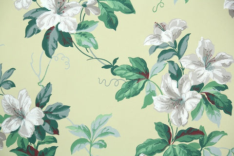 1950s Floral Vintage Wallpaper